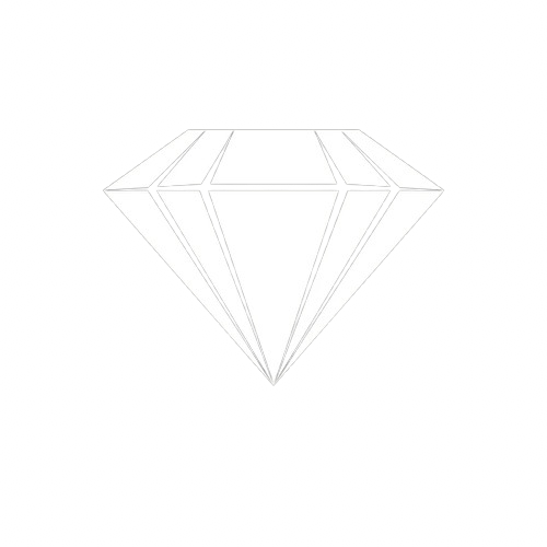 Black Line Detailing logo